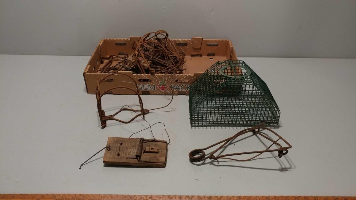 (I-585) ASSORTMENT OF VARIOUS TYPES OF ANIMAL TRAPS (LOCATED AT ZIELSDORF AUCTIONS)