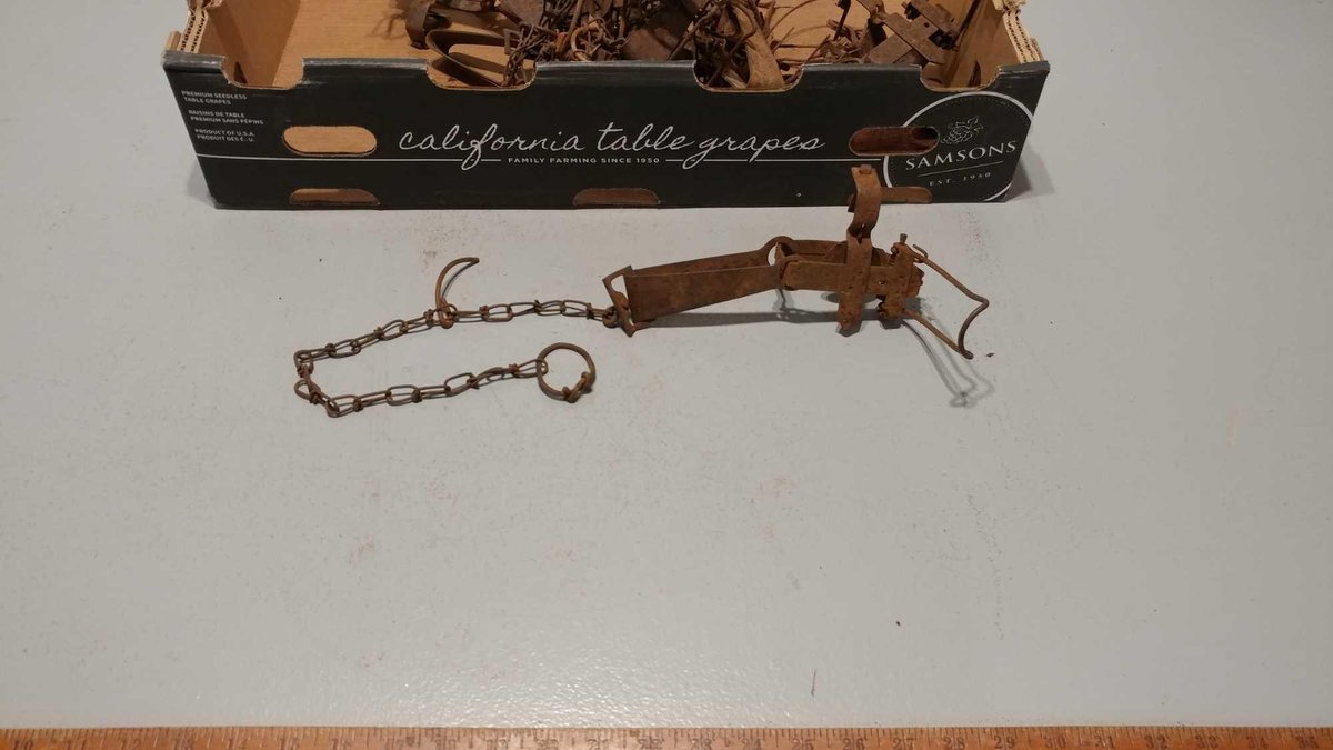 (I-584) ASSORTMENT OF SINGLE SPRING FOOT HOLD TRAPS (LOCATED AT ZIELSDORF AUCTIONS)