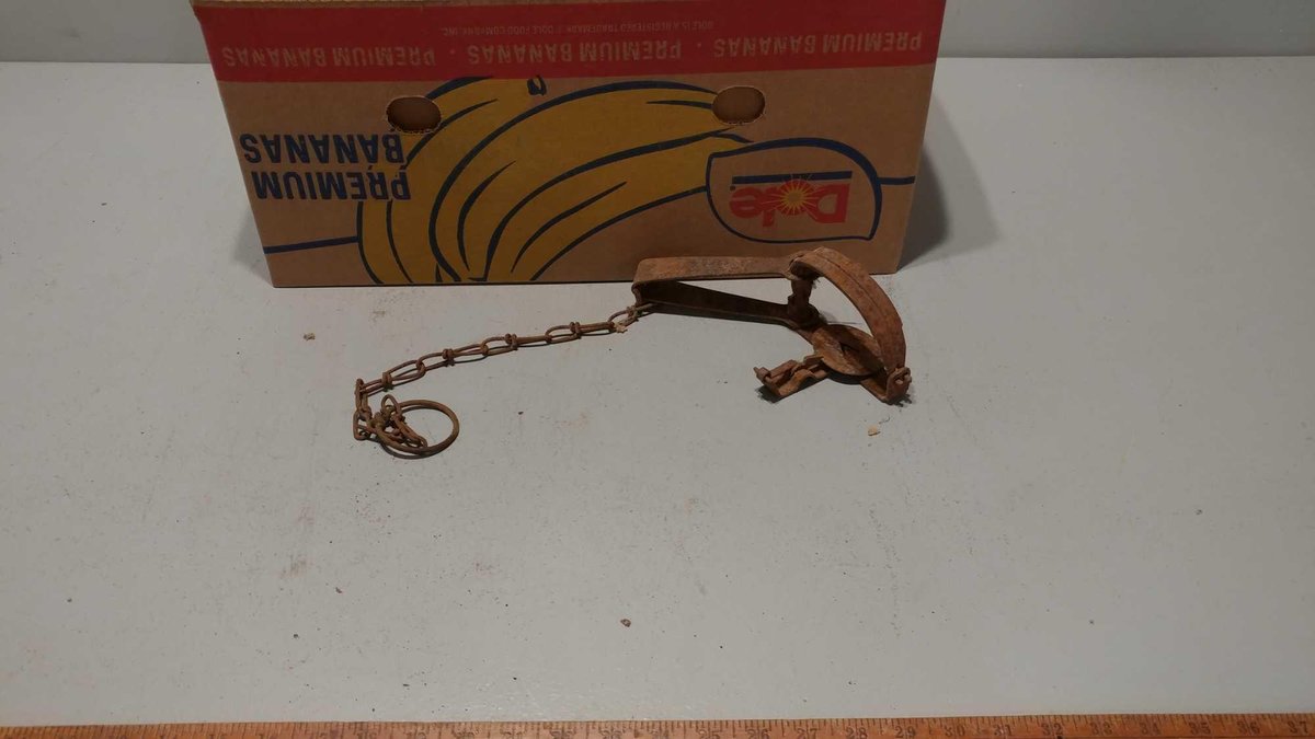 (I-583) ASSORTMENT OF SINGLE SPRING FOOT HOLD TRAPS (LOCATED AT ZIELSDORF AUCTIONS)
