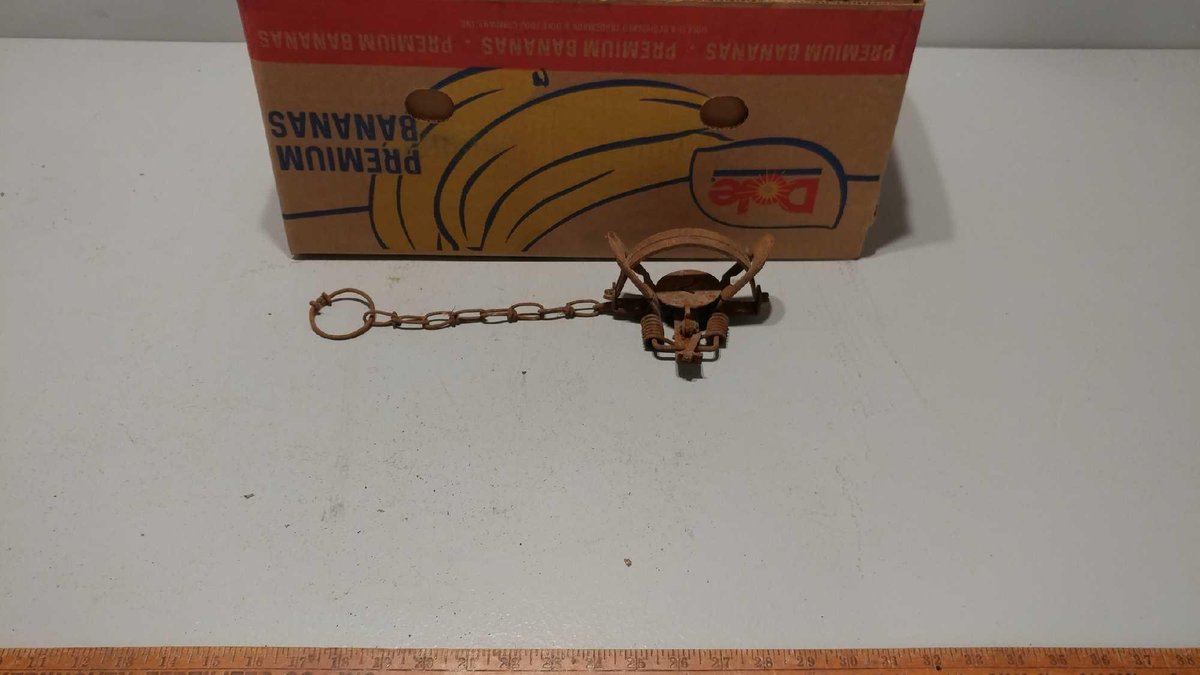(I-582) ASSORTMENT OF DOUBLE SPRING FOOT HOLD TRAPS (LOCATED AT ZIELSDORF AUCTIONS)