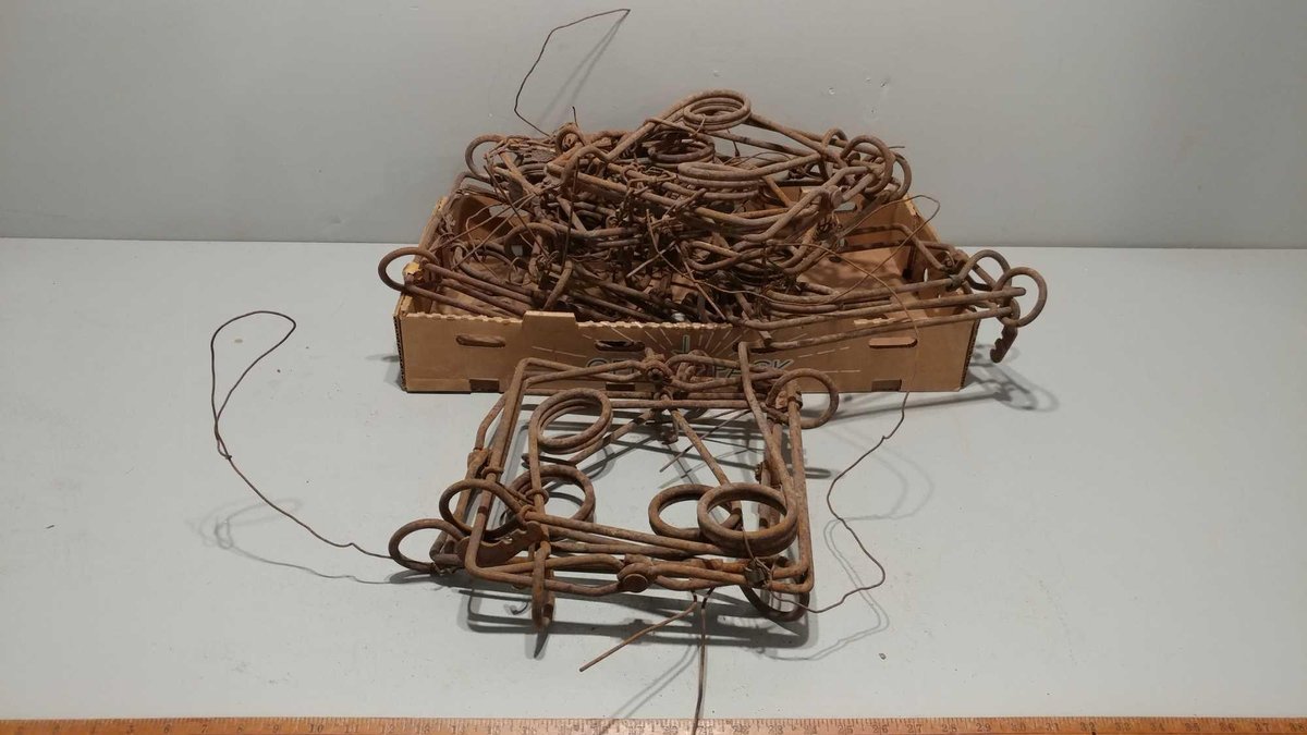 (I-580) ASSORTMENT OF 10" CONIBEAR TRAPS (LOCATED AT ZIELSDORF AUCTIONS)