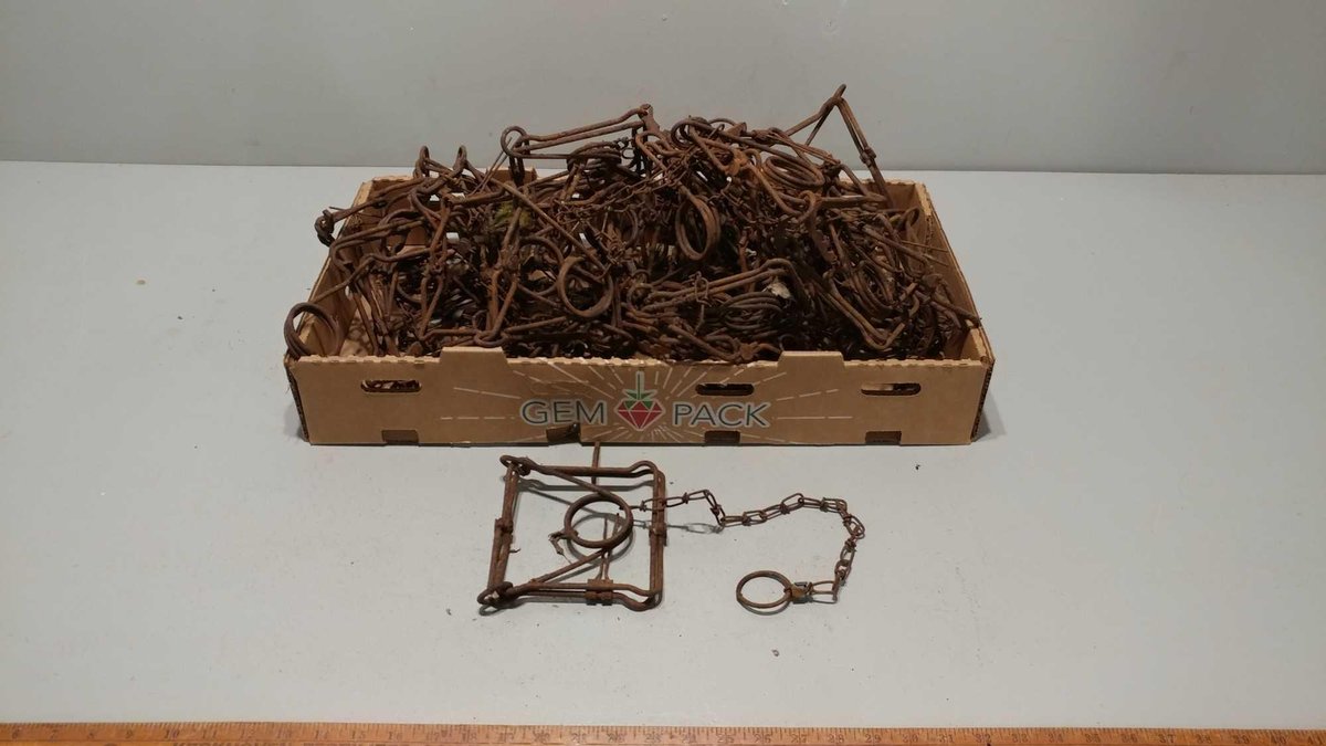 (I-579) ASSORTMENT OF 6" CONIBEAR TRAPS (LOCATED AT ZIELSDORF AUCTIONS)
