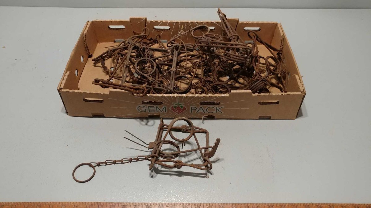 (I-578) ASSORTMENT OF 6" CONIBEAR TRAPS (LOCATED AT ZIELSDORF AUCTIONS)