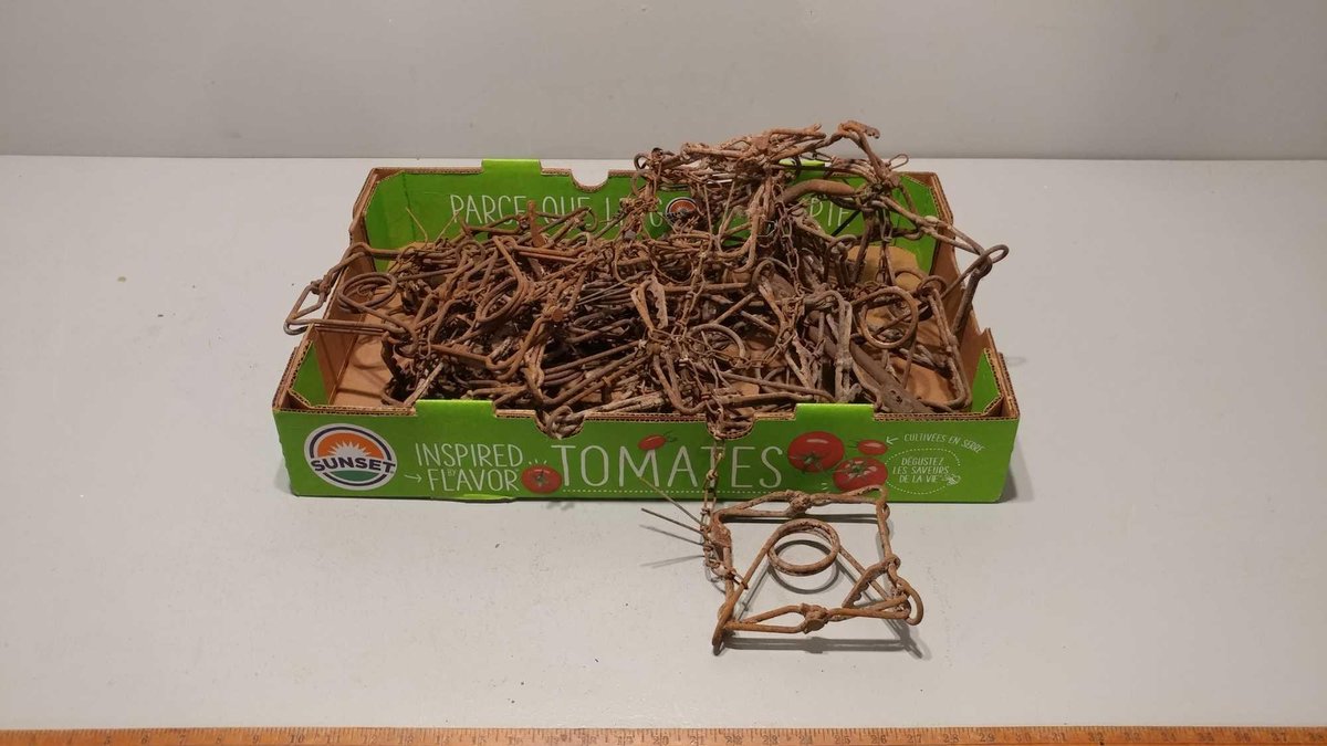 (I-577) APPROX (25) 6" CONIBEAR TRAPS (LOCATED AT ZIELSDORF AUCTIONS)