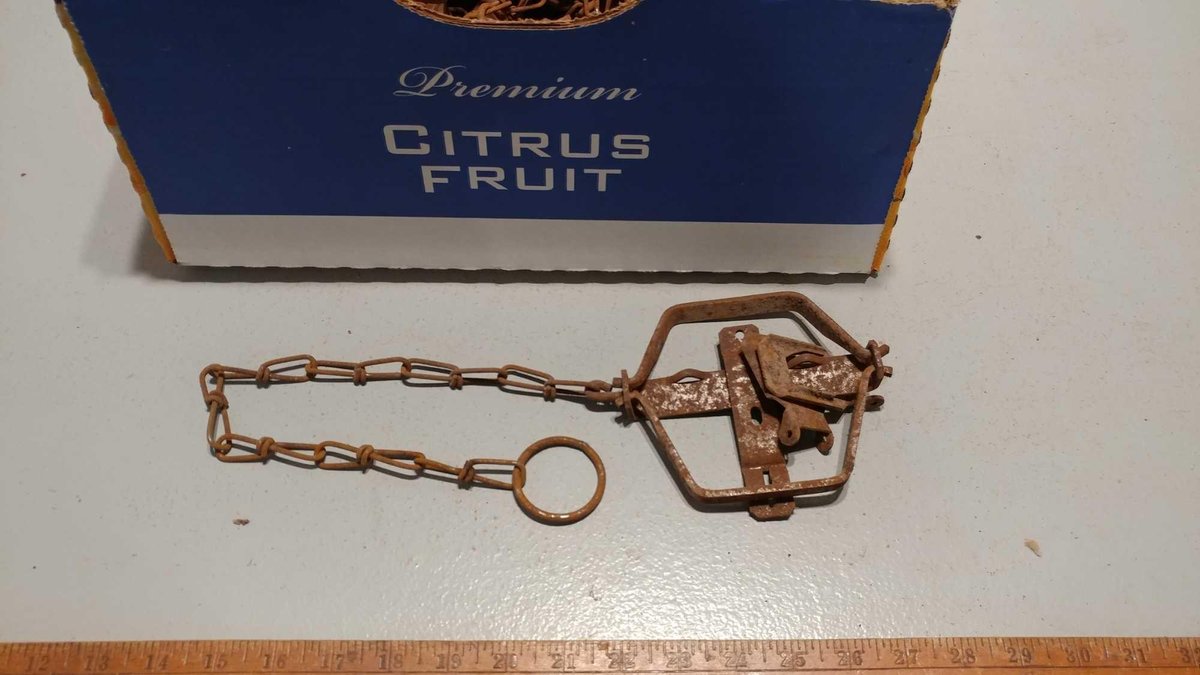 (I-575) ASSORTMENT OF DOUBLE SPRING FOOT HOLD TRAPS (LOCATED AT ZIELSDORF AUCTIONS)