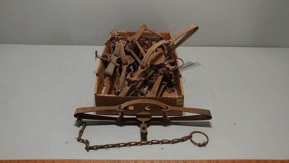 (I-574) APPROX (8) LARGE DOUBLE SPRING FOOT HOLD TRAPS (LOCATED AT ZIELSDORF AUCTIONS)
