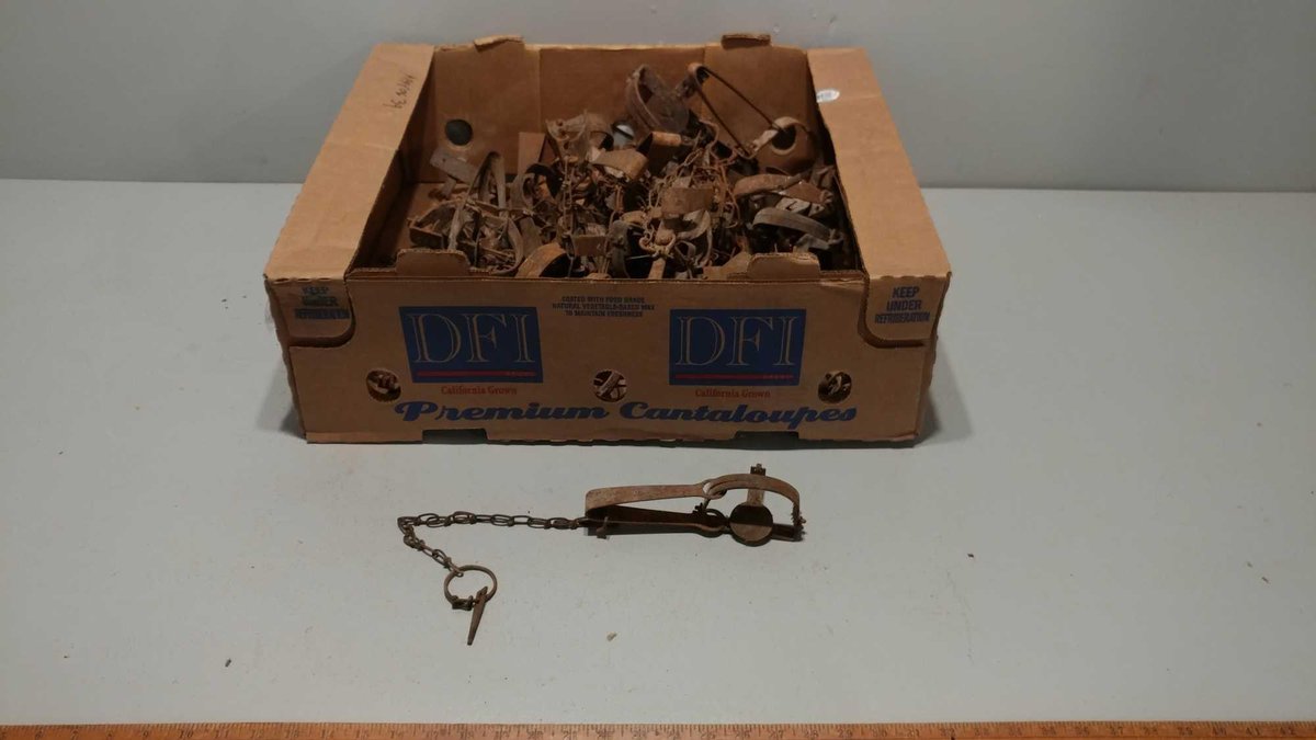 (I-573) APPROX 39 FOOT HOLD SINGLE SPRING TRAPS (LOCATED AT ZIELSDORF AUCTIONS)