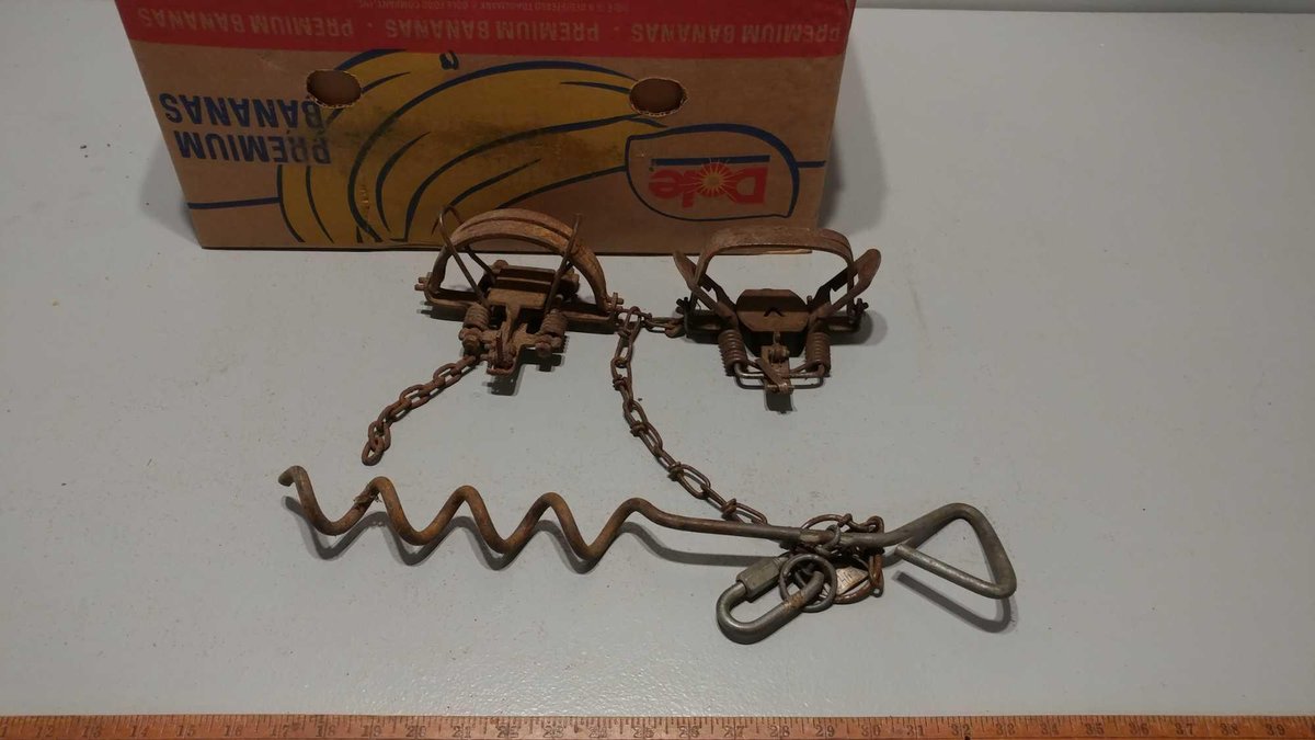 (I-571) ASSORTMENT OF DOUBLE COIL SPRING FOOT HOLD TRAPS (LOCATED AT ZIELSDORF AUCTIONS)