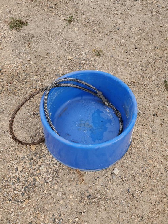 HEATED DOG BOWL (ITEM AT ZIELSDORF AUCTIONS)