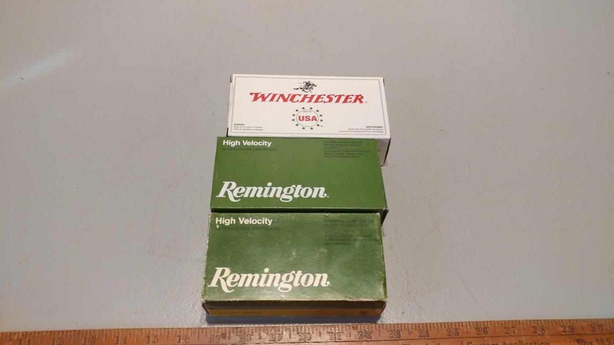 (I-231) .44 MAGNUM WINCHESTER (1) - 50 BRASS CASE 240 GR JACKETED SOFT POINT CARTRIDGES, REMINGTON (