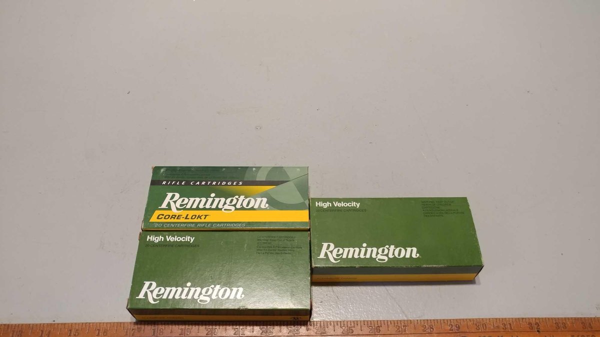(I-237) .45-70 REMINGTON (2 BOXES) 20 CARTRIDGES WITH 300 GR SEMI-JACKETED HOLLOW POINT BULLETS, (1 