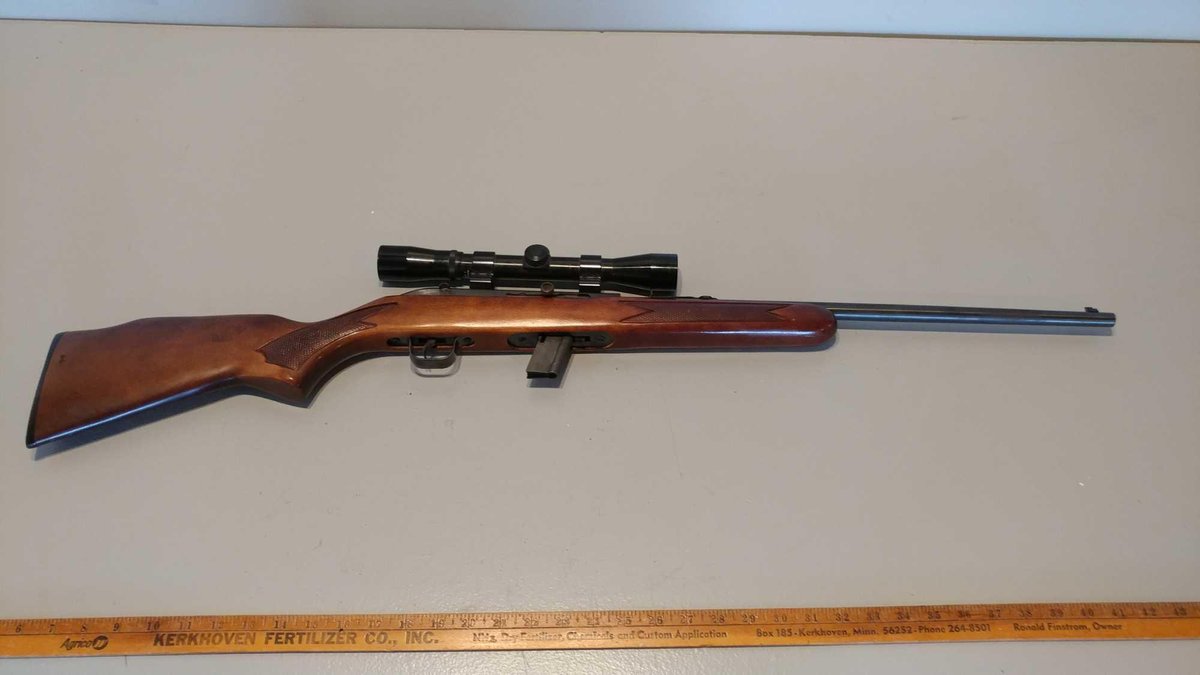 (I-172) SAVAGE MODEL 954LS, 22 CAL LONG RIFLE ONLY, BUSHNELL SPORTVIEW SCOPE W MAG, SN:L166044