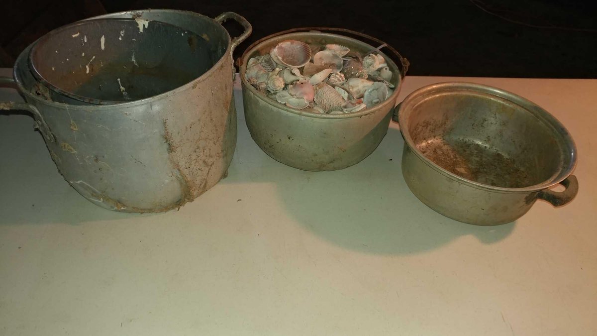 ASSORTMENT OF STOCK POTS AND SHELLS