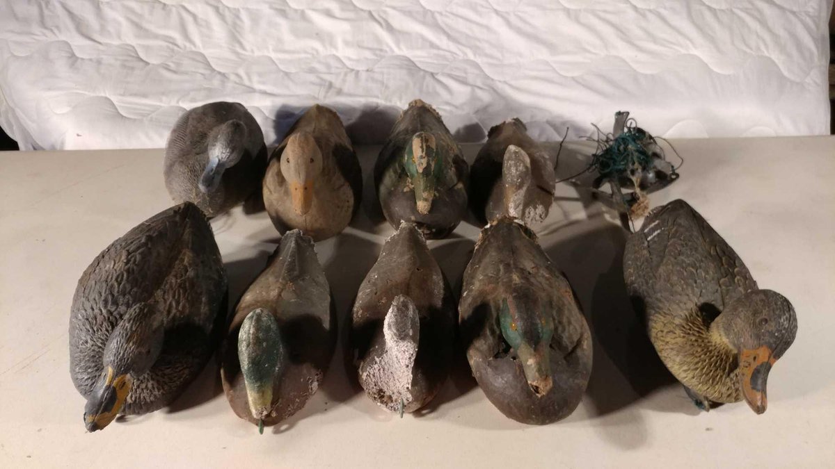 ASSORTMENT OF MALLARD & TEAL DUCK DECOYS