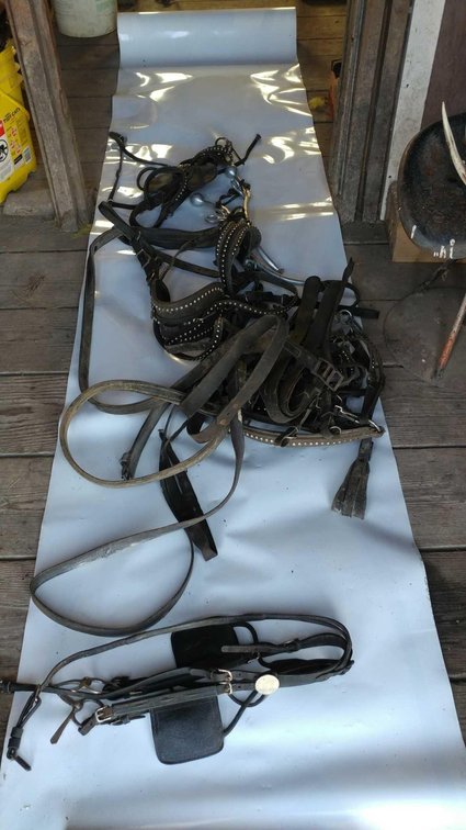 (A) HORSE DRIVING HARNESS W/BLINKERS (FPS ON COLLAR)