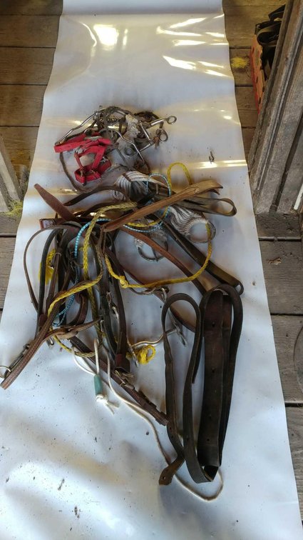 (A)  OF LEATHER STRAPS, CINCHES, AND MORE
