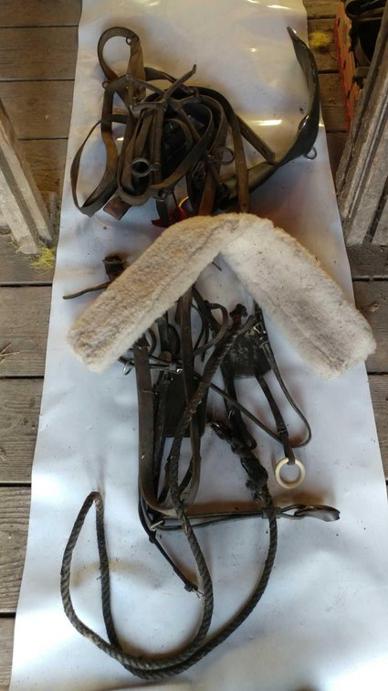 (A) GROUP OF CINCHES, BREAST PLATE, COLLARS, AND HARNESS STRAPS