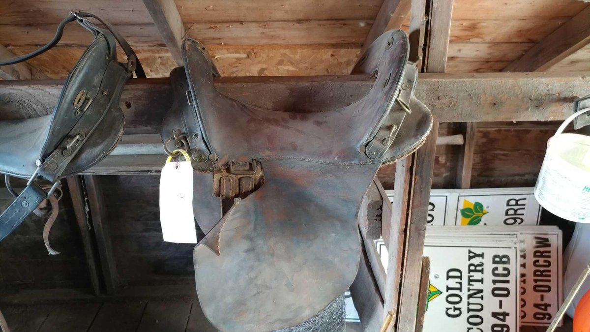 (A) MILITARY SADDLE (11 1/4" VINTAGE)