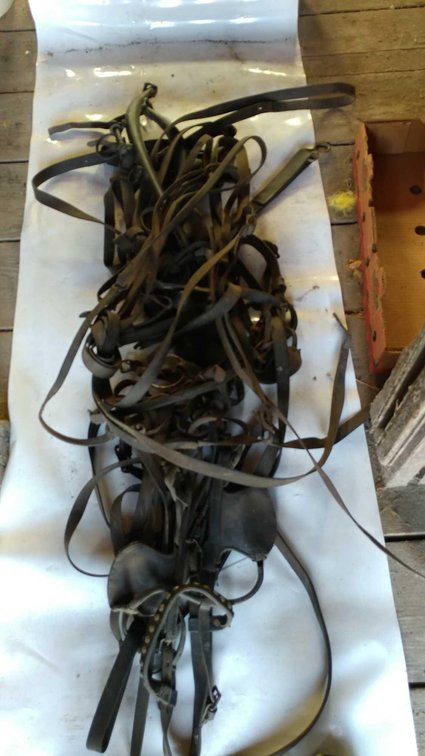 (A) DRIVING HARNESS