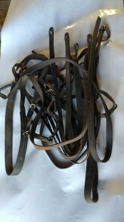 (A) HARNESS SET