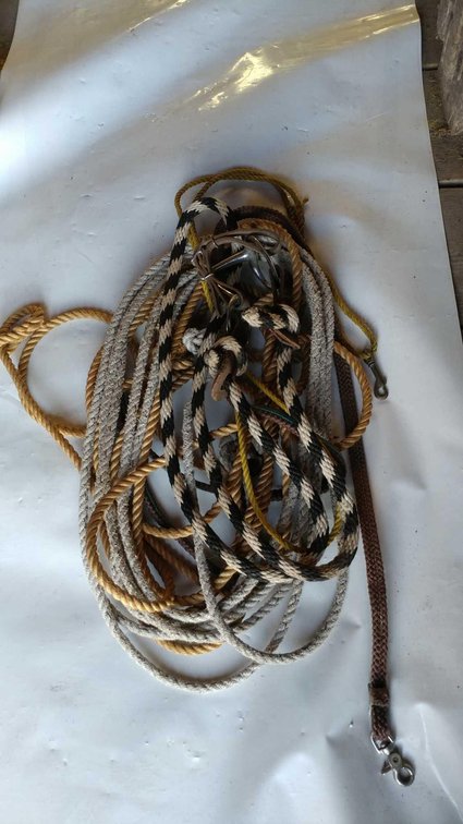 (A) LEAD ROPES/REINS W/BIT