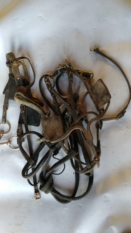 (A) (2) HARNESSES W/BLINKERS AND NYLON HARNESS W/BIT