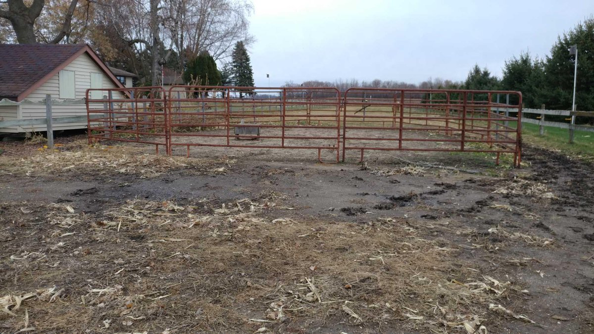(10) CORRAL GATES (12' X 5')