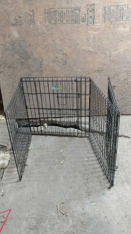 (B) 24" SPLIT DOOR WIRE EXERCISE PEN (8 24" PANELS) 
