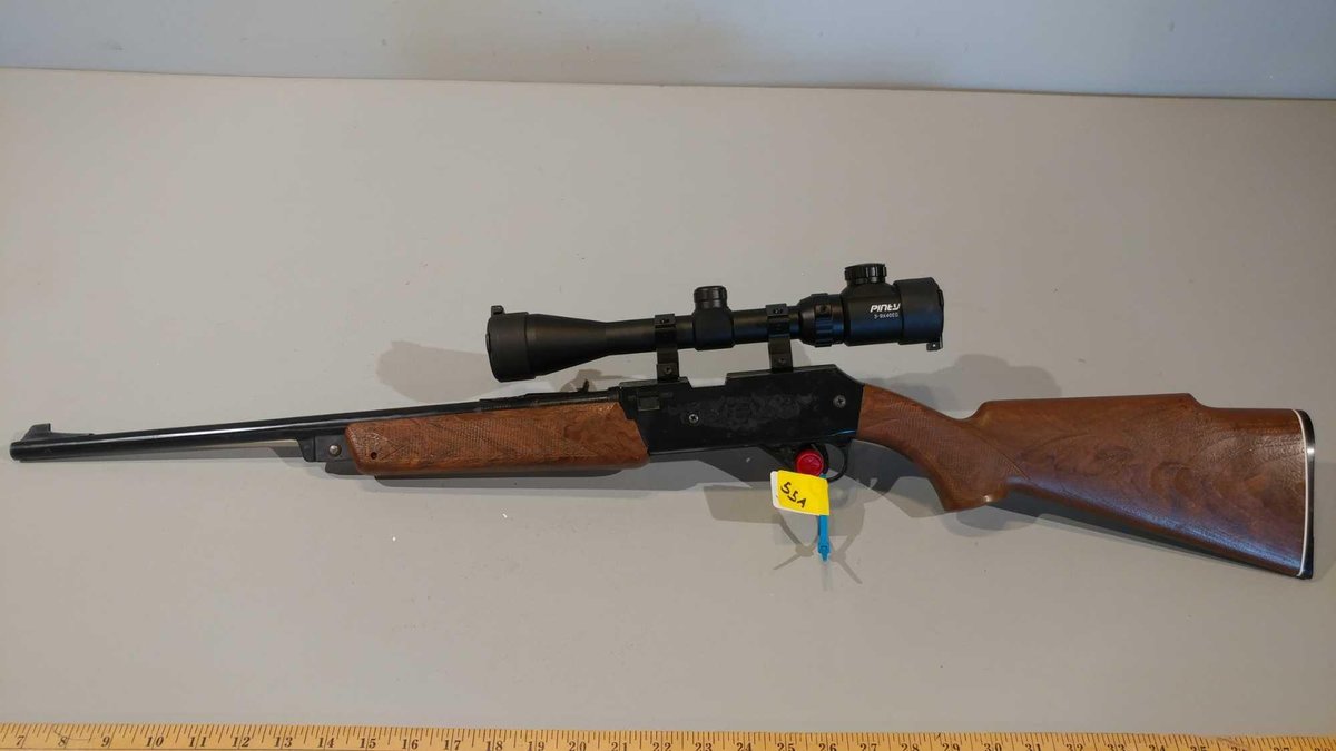 DAISY .177 CAL PELLET/BB GUN W/PINTY SCOPE 