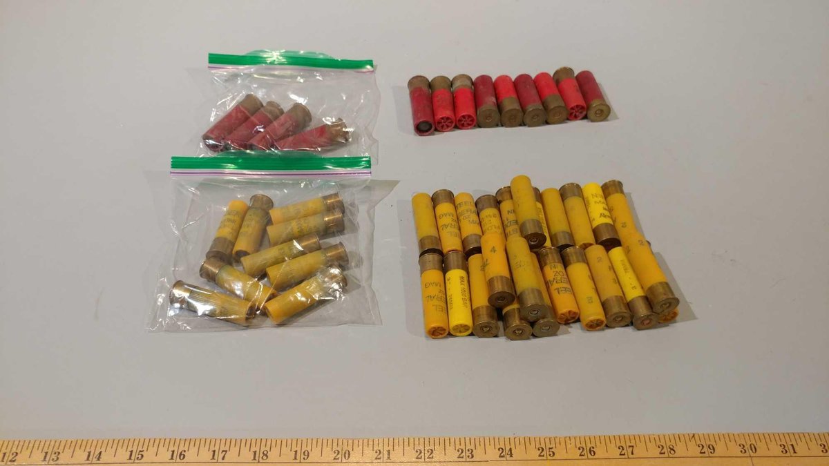 (I-440) (9) 20 GA SLUGS, (4) 12 GA SLUGS, & (26) 20 GA SHOTGUN SHELLS, & (9) 12 GA SHOTGUN SHELLS