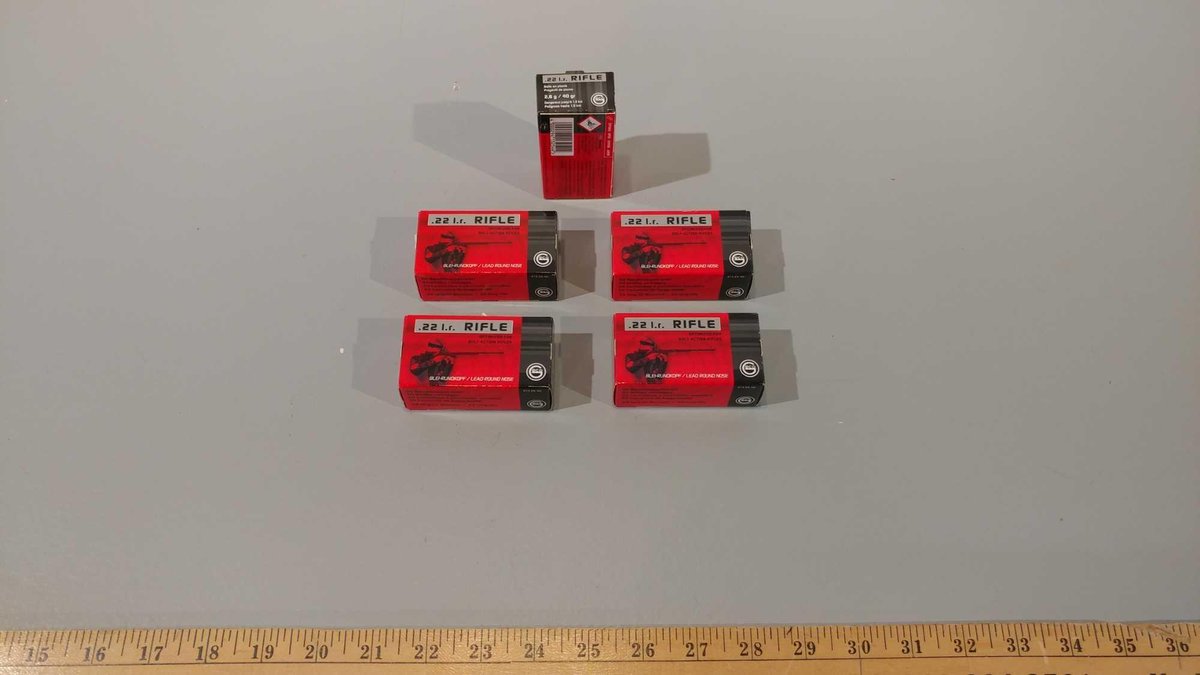 (I-16) (5) BOXES OF 50 ECO .22 CAL RDS