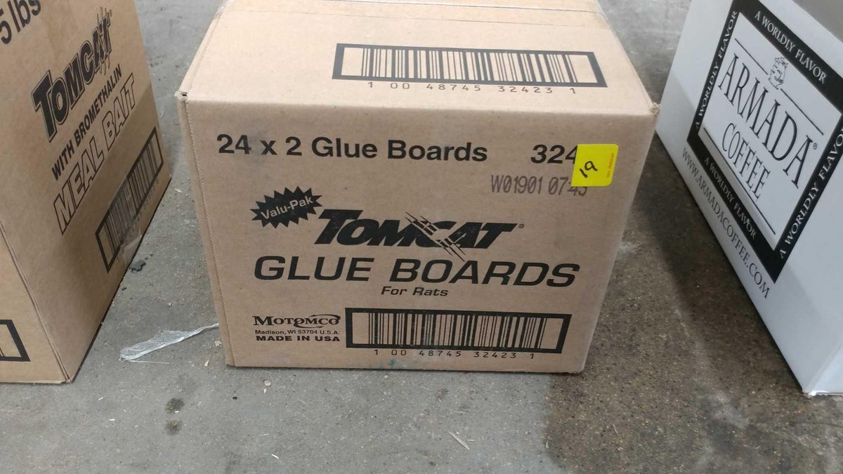 BOX OF 48 TOMCAT GLUE BOARDS