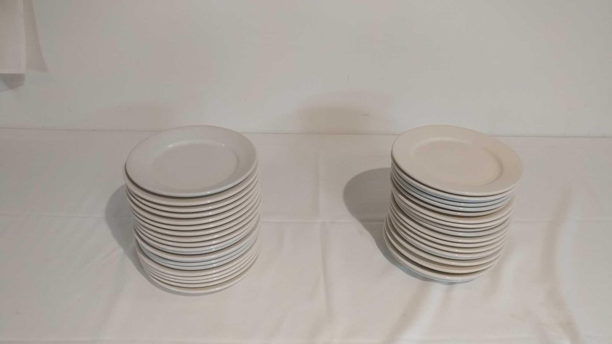 (40) 9-INCH DINNER PLATES
