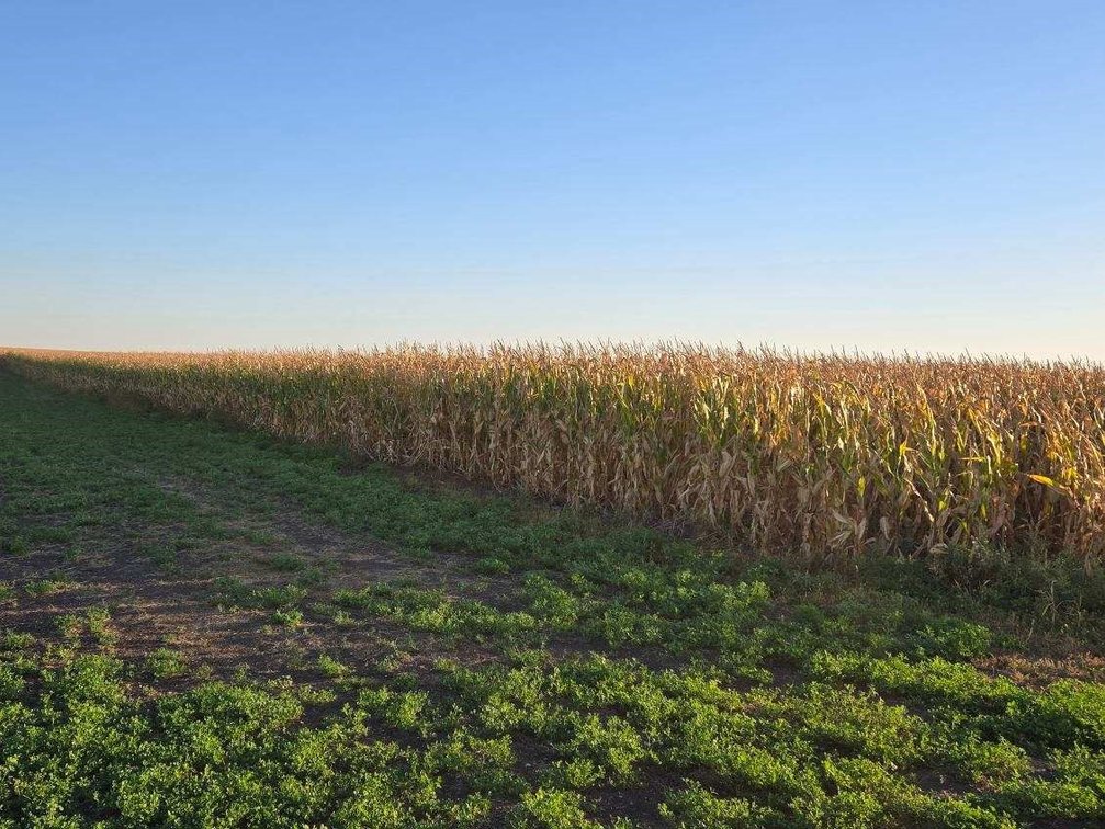 Image for Stevens County - Francis Hanrahan Estate - Farm Land Auction