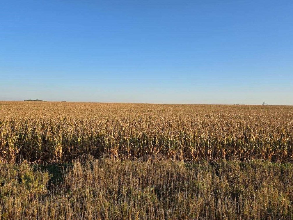 Image for Stevens County - Francis Hanrahan Estate - Farm Land Auction