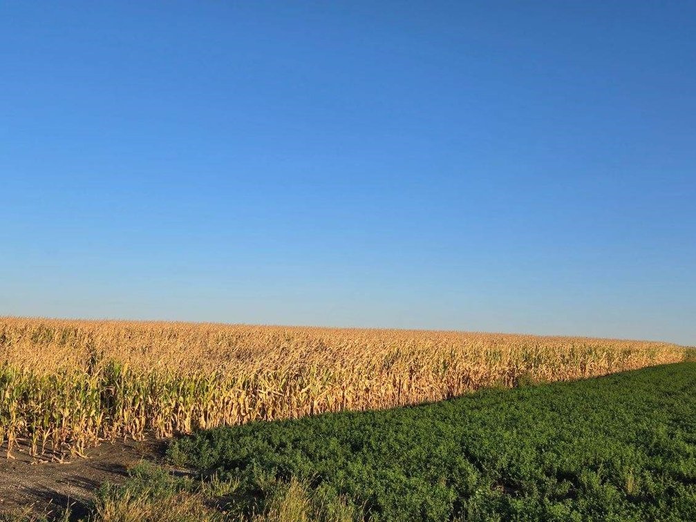 Image for Stevens County - Francis Hanrahan Estate - Farm Land Auction