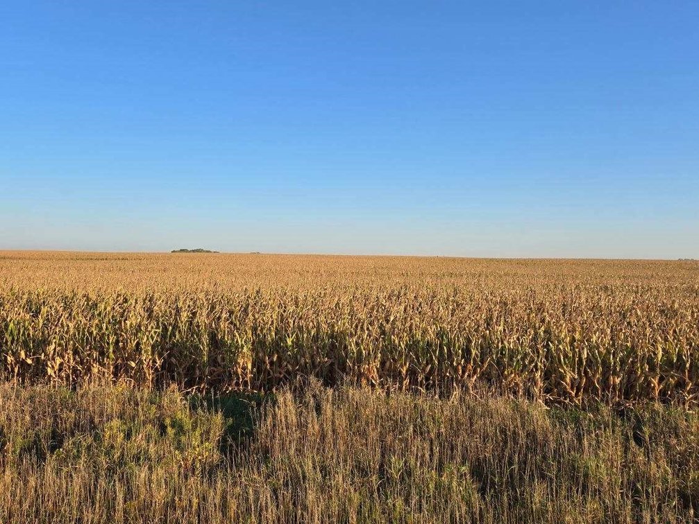 Image for Stevens County - Francis Hanrahan Estate - Farm Land Auction