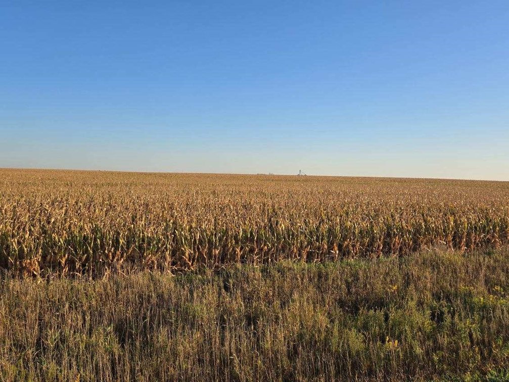 Image for Stevens County - Francis Hanrahan Estate - Farm Land Auction