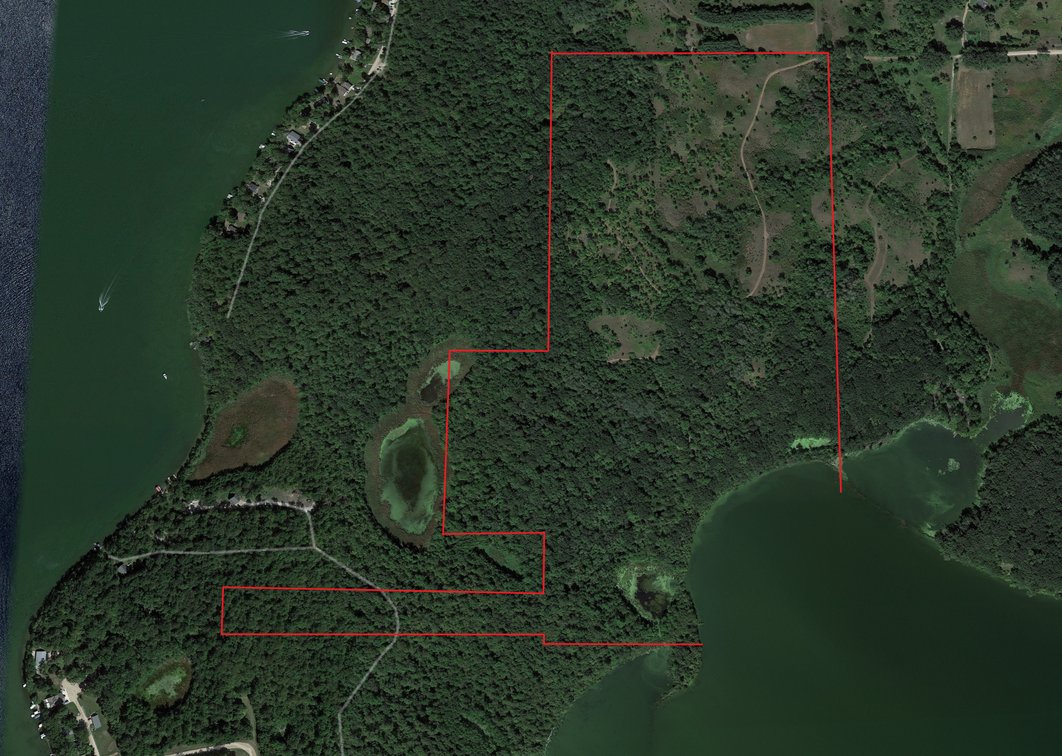 Image for Pope County - Goose Lake - Hunting/Lakeshore Land Auction