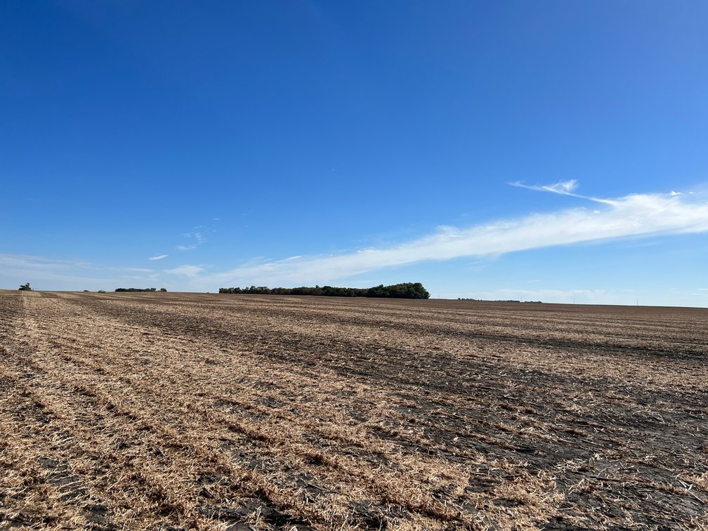 Image for Big Stone County - Farm Land Auction