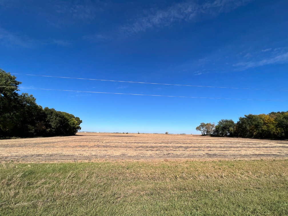 Image for Big Stone County - Farm Land Auction