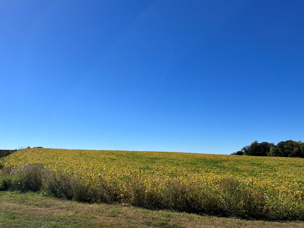 Image for Otter Tail County - Farm Land Auction