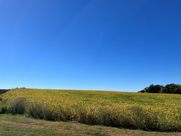 Image for Otter Tail County - Farm Land Auction