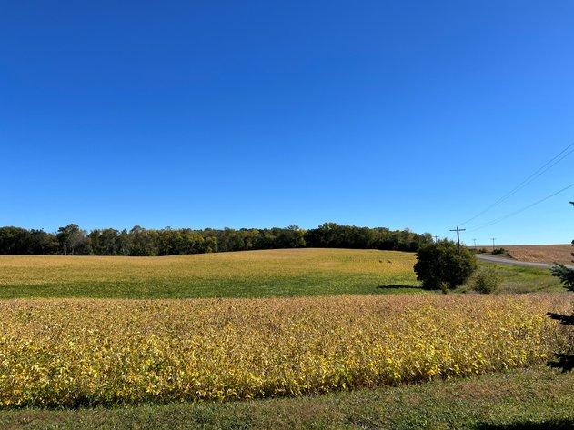 Image for Otter Tail County - Farm Land Auction