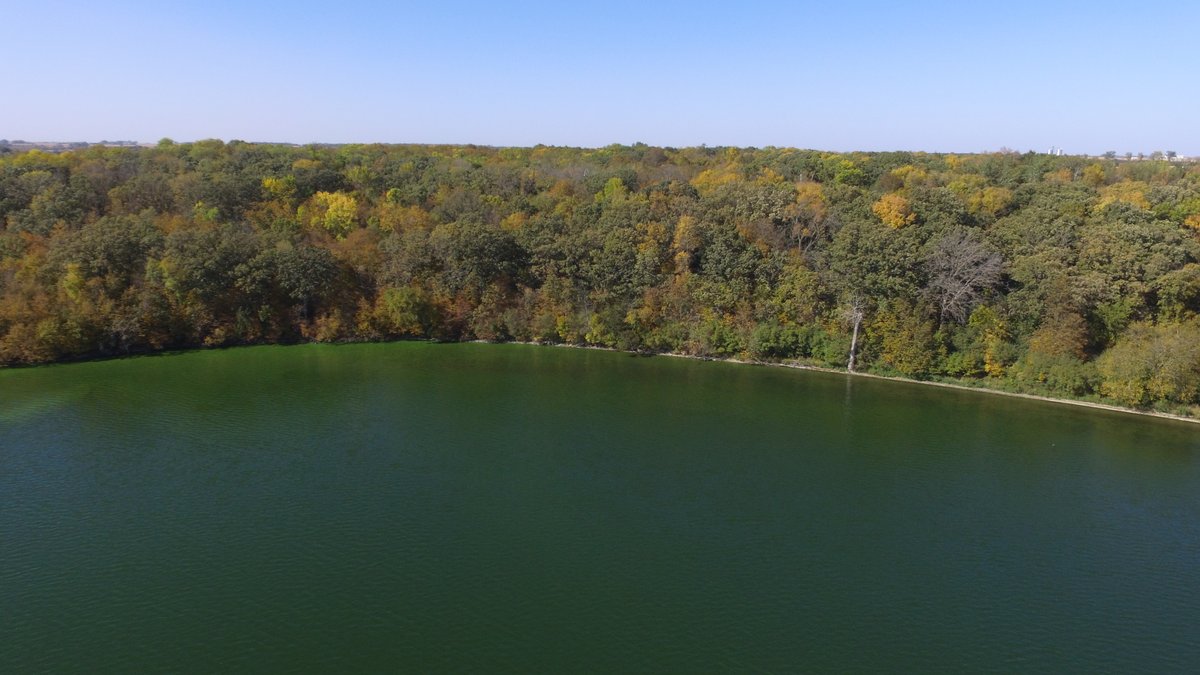 Image for Pope County - Goose Lake - Hunting/Lakeshore Land Auction