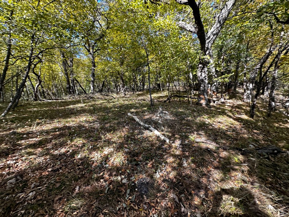 Image for Pope County - Goose Lake - Hunting/Lakeshore Land Auction
