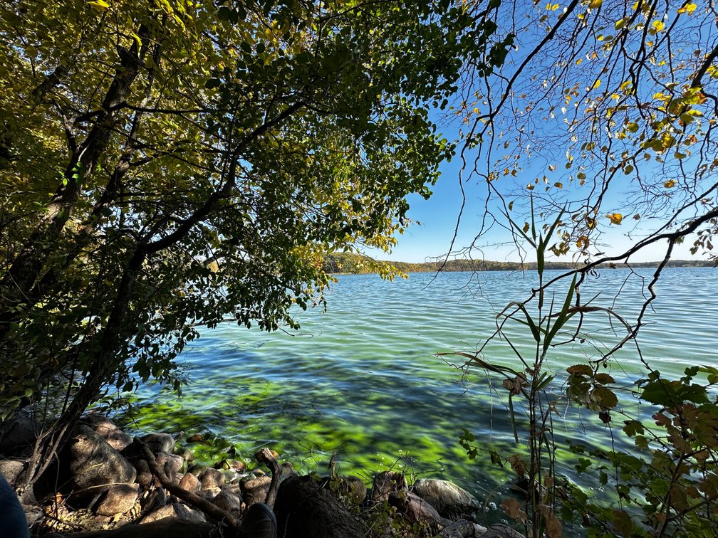 Image for Pope County - Goose Lake - Hunting/Lakeshore Land Auction