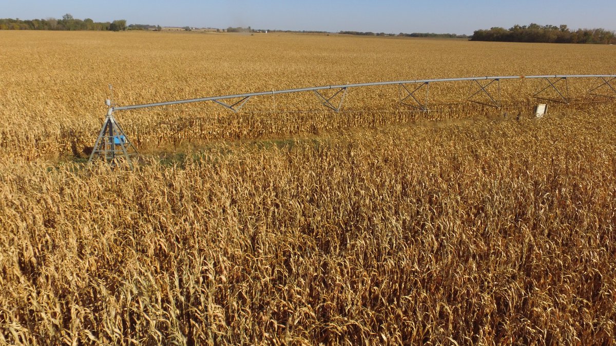 Image for Stearns County - Fuchs Family - Farm Land Auction