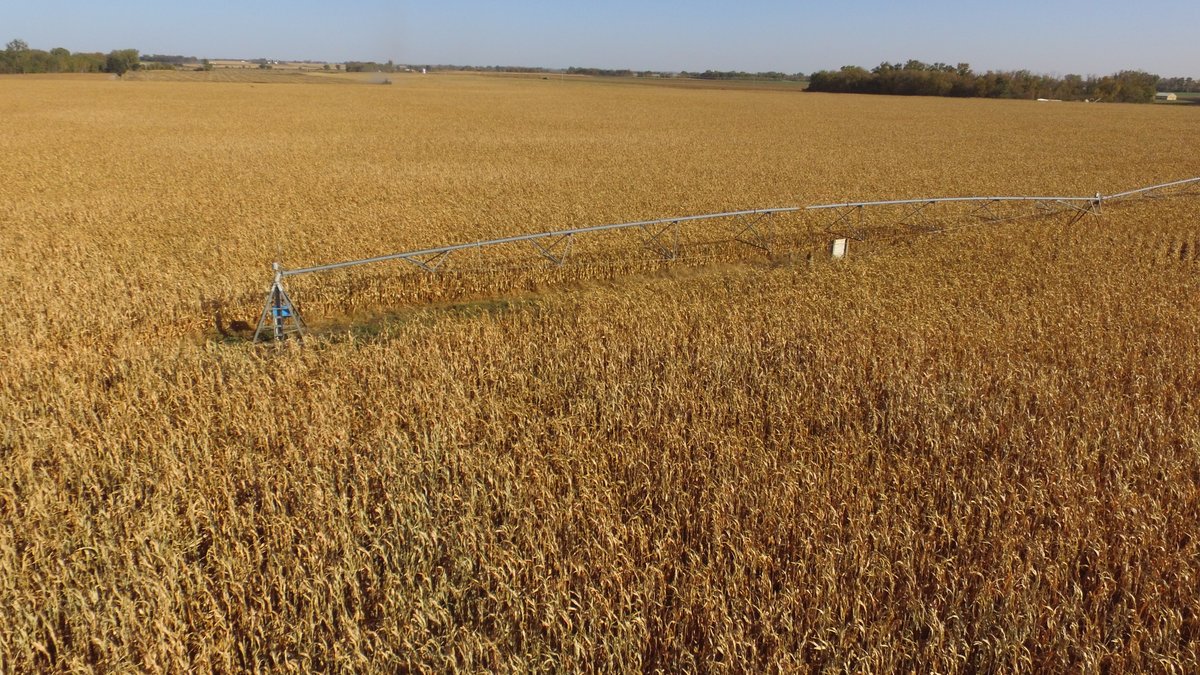 Image for Stearns County - Fuchs Family - Farm Land Auction