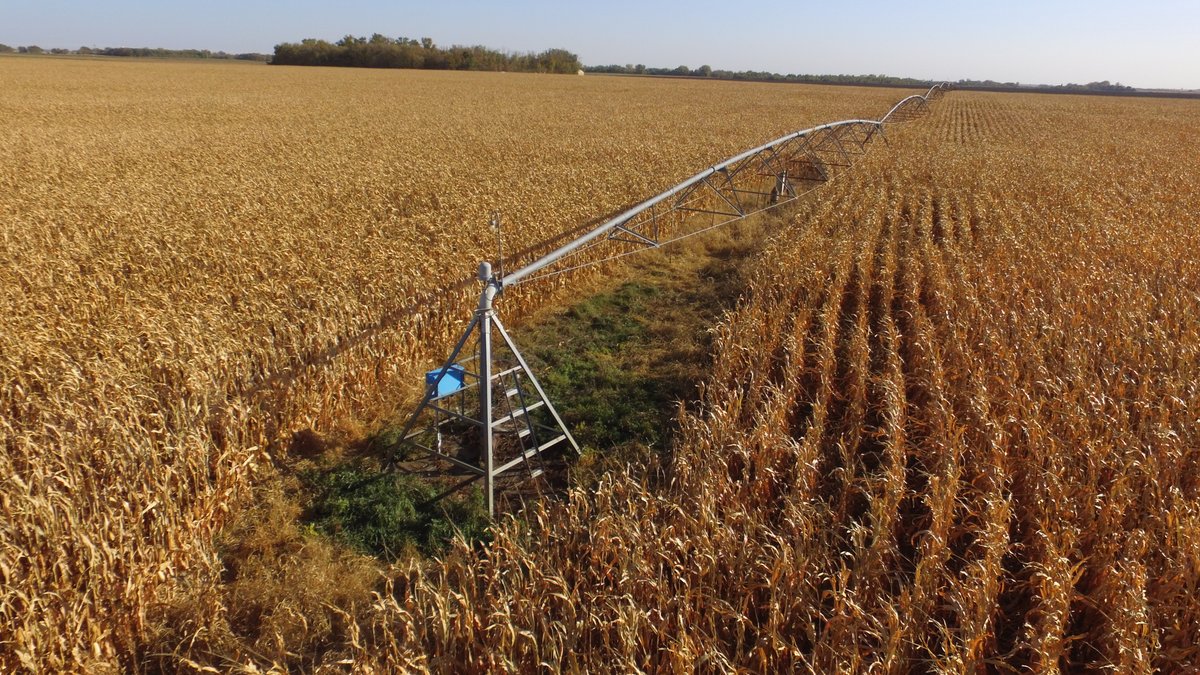 Image for Stearns County - Fuchs Family - Farm Land Auction